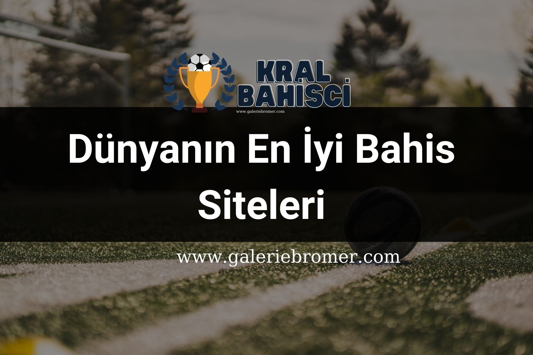 Dünyanın En İyi Bahis Siteleri