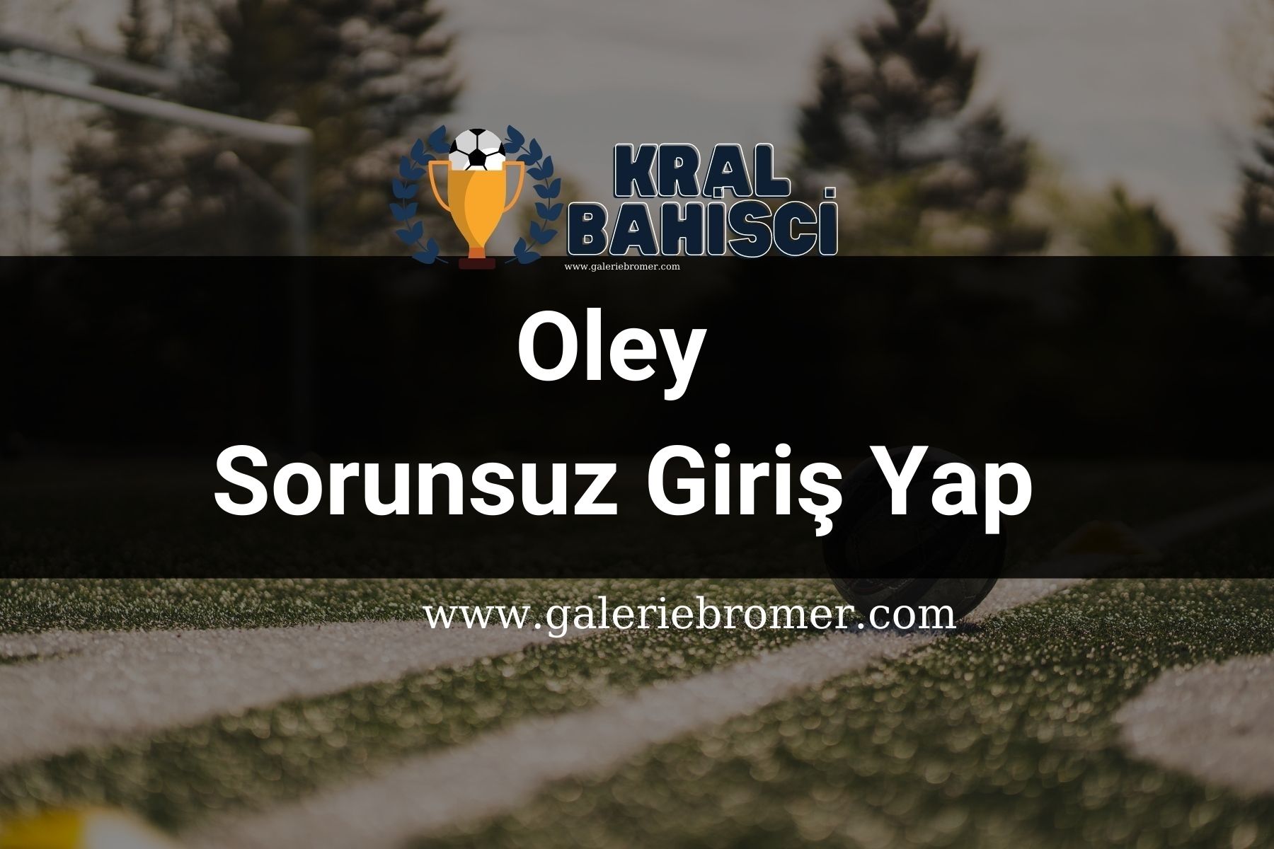 Oley Sorunsuz Giriş Yap